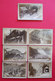 1876-1880 RARE Lot De 7 Photos Cabinet Par A. Gabler Photographe à Interlaken Suisse Switzerland - Old (before 1900)