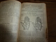 Delcampe - 1911 Tremblement De Terre à ROGNES;Avions;etc(éd. Luxe) ALMANACH HACHETTE (Encyclopédie Populaire De La Vie Pratique); - Enciclopedias