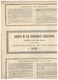 Action Ancienne - Chemins De Fer Economiques Néerlandais - Titre De 1881 - Rare - Spoorwegen En Trams