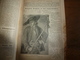 Delcampe - 1909 En BRETAGNE 13 Maris Pour 1 Femme, En ALSACE  2/3 De Mari Pour 1 Femme;etc (éd. Luxe) ALMANACH HACHETTE - Encyclopedieën