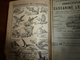 Delcampe - 1909 En BRETAGNE 13 Maris Pour 1 Femme, En ALSACE  2/3 De Mari Pour 1 Femme;etc (éd. Luxe) ALMANACH HACHETTE - Enciclopedias