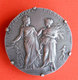 Fenaison Semaille Médaille Argent Montée En Broche Associations Agricoles Par Alphée Dubois 39gr Diam 4cms - Autres & Non Classés