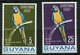 Guyane ** N°  258/259 - 280/281 - Perroquets - Guyane (1966-...)