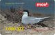 SLOVENIA SCHEDA TELEFONICA Navadna čigra / Common Tern (Sterna Hirundo) - Altri & Non Classificati