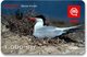 SLOVENIA SCHEDA TELEFONICA Navadna čigra / Common Tern (Sterna Hirundo) - Altri & Non Classificati