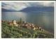 Saint-Saphorin - Léman Clair-obscur - Carte 16 X 11 - Saint-Saphorin