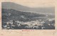 Weidlingau Wien Austria Suburb Neighborhood, View Of Town, C1890s/1900 Vintage Postcard - Other & Unclassified