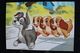 T-D, N°11 / Carte Postal Humoristique-Walt Disney Productions (La Belle Et Le Clochard) - Annette, Colette Et Danielle - Autres & Non Classés