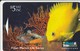 Fiji - Golden Damsel Fish - 10FJC - Fiji