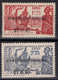 Cameroun - 1940 - Exposition De NY - Tb De 1925 Surch  -  N° 206/207 - Neuf * - MLH - Unused Stamps