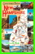 CARTES GÉOGRAPHIQUES - NEW HAMPSHIRE - 12 MULTIVIEWS - - Cartes Géographiques