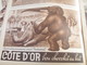 CONGO LEOPARD/CHOCOLAT COTE D OR/LIEGE EVADES/MERMOZ HOMMAGE/CAMARGUE/ESPAGNE GUERRE/VALAIS MONTAGNES    /PATRIOTE - 1900 - 1949