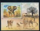 Umm Al-Quwain Animal Theme Issues 10- 15- 20- 25-dirham And 5 Riyal Stamps Souvenir Sheet Gorilla Zebra Tiger Elephant - Umm Al-Qiwain