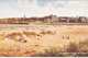 2 Postcards Scotland Fife St Andrews From The South Aerial ? RPPC & From The Sands Unposted & Posted 1947 - Fife