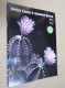 BRITISH CACTUS AND SUCCULENT JOURNAL Vol 19 Mar, Jun, Sep, Dec 2001 (All 4) - Nature/ Outdoors