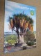 BRITISH CACTUS AND SUCCULENT JOURNAL Vol 19 Mar, Jun, Sep, Dec 2001 (All 4) - Nautra