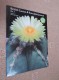 BRITISH CACTUS AND SUCCULENT JOURNAL Vol 21 Mar, Jun, Sep, Dec 2003 (All 4) - Nautra