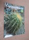 BRITISH CACTUS AND SUCCULENT JOURNAL Vol 24 Mar, Jun, Sep, Dec 2006 (All 4) - Naturaleza