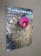 BRITISH CACTUS AND SUCCULENT JOURNAL Vol 26 Mar, Jun, Sep, Dec 2008 (All 4) - Im Freien