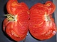 30 Graines Tomates RUSSE BIO - Autres & Non Classés