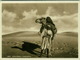 AFRICA - LIBIA / LYBIA -  MAN & CAMEL - EDIT ALI BEN OTMAN - 1930s ( BG354) - Libya