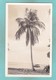 Old Post Card Of Trinidad, Trinidad, Trinidad And Tobago?,S60. - Trinidad