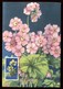 Saint Marin - Carte Maximum 1957 - Fleurs - O 205 - Lettres & Documents