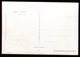 Saint Marin - Carte Maximum 1957 - Fleurs - O 205 - Briefe U. Dokumente