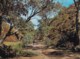 Road Through Bunyeroo Gorge, Flinders Ranges, South Australia - Unused - Flinders Ranges