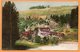 Thun Switzerland 1910 Postcard - Other & Unclassified