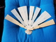 Delcampe - Antique Female Ivory Hand Fan 19th Century - Fans