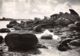 29-BRIGNOGAN-N°C-4335-D/0257 - Brignogan-Plage