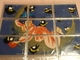 Delcampe - RANMA Del 1996.1/2 Set Completo Cards 1a 45 - Altri & Non Classificati