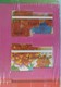 NETHERLANDS - L&G - Set Of 4 - Floriade - 1992 - Mint In Collector Pack - [5] Collector Packs