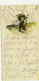 CASTELLI SIGNED POSTCARD BOOKMARK 1920s - KID - ( BG30 ) - Castelli