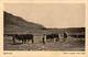 BASUTOLAND - Natives Working In The Fields - Lesotho