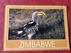 Zimbabwe Yellow Hornbill 1992 - Simbabwe