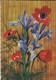 FLEURS----BONNE FETE--bouquet D'iris + Anémones---voir 2 Scans - Flowers