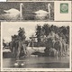 Allemagne 1938. Entier Timbré Sur Commande.  Schmölln, Thuringe. Am Brauereiteich, Parc, étang Avec Cygnes - Swans