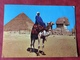 Egypte.  Giza. Camel Driver Near The Sphinx And Pyramid Of Khufu 1979 - Gizeh