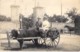 ** Real Photo / Carte Photo 1912 ** USA Etats-Unis ( FL FLORIDA ) ST AUGUSTINE : Hitch With An Ox - Attelage Avec Boeuf - St Augustine