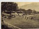 C.P.A. : MALAYSIA : PENANG, Race Course, In 1921 - Malaysia