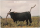 Bullocks - Bull - (Leo Cards, Eastbourne) - Stieren