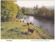 Horsebridge - Cows / Cattle  - (Porthbyhan) - Koeien