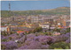 Pretoria - City Of Jacarandas - Jakarandastad - (Transvaal, South Africa) - Sud Africa