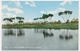 AFRICA,SUDAN,   A VILLAGE SHAMBE, WHITE NILE  Vintage Old Postcard - Sudan