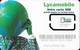 France - Lycamobile - Votre Carte SIM - GSM SIM5 Mini-Micro, Mint - Other & Unclassified