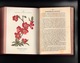 Delcampe - LBRO_LIVRE-Paul Hariot_" ATLAS De Poche Des Arbustes Et Arbrisseaux_122 Planches Coloriées_181 Pagine-Paris 1904- - Altri & Non Classificati