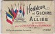 HONNEUR  ET  GLOIRE AUX ALLIES  12 CARTES POSTALES D UN NEUTRE - Humour