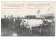 Bxl  ( M 4600 )  Concours Des Vaches Laitières En 1907 (prijskamp Van Het Melkvee 1907) - Feesten En Evenementen